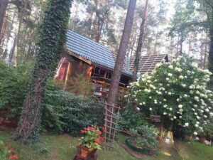 Domek w lesie - germania